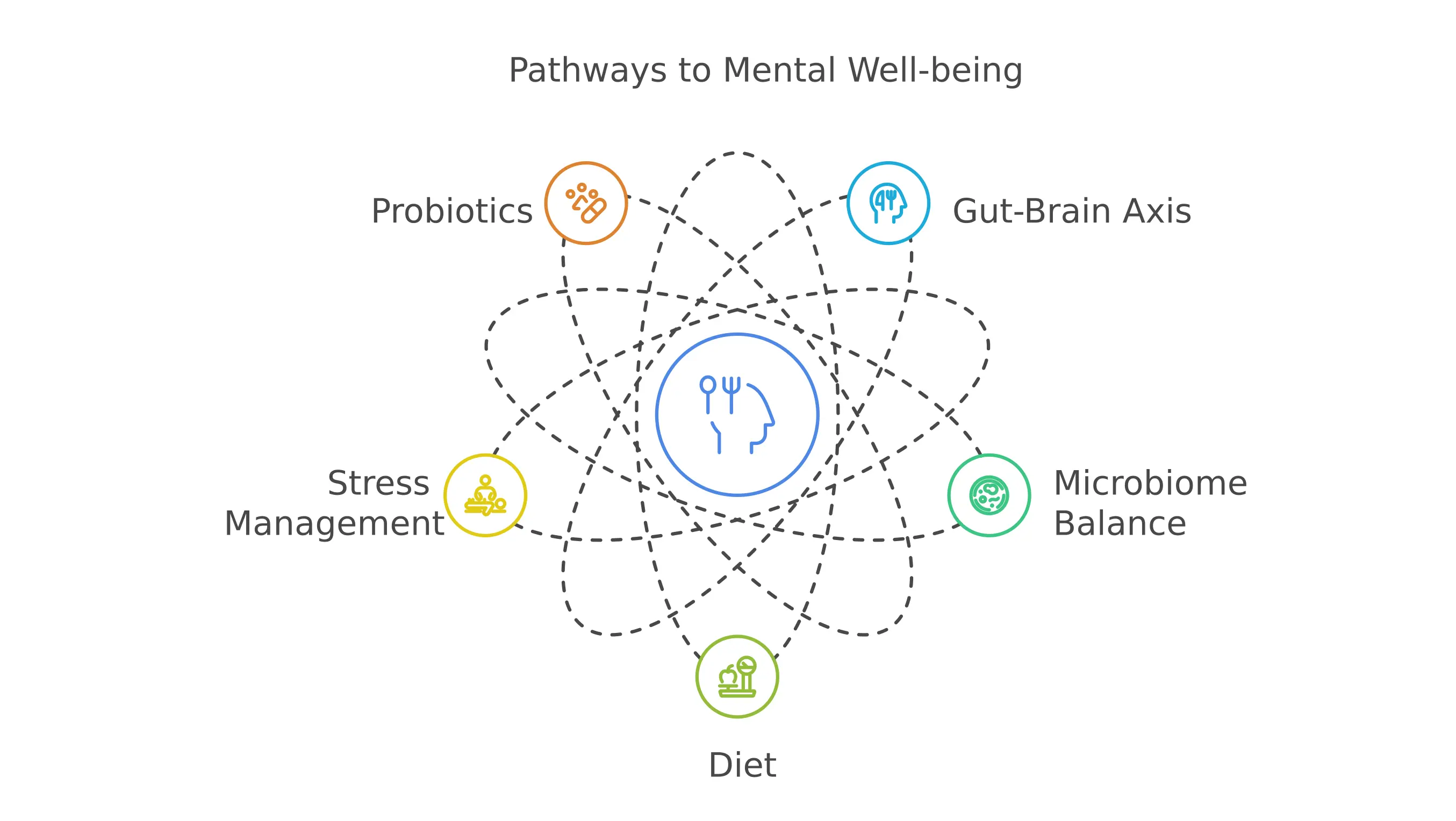 The Connection Between Gut Health and Mental Well-being